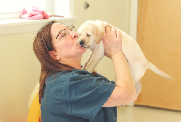 volunteer picks up and kisses yellow lab puppy