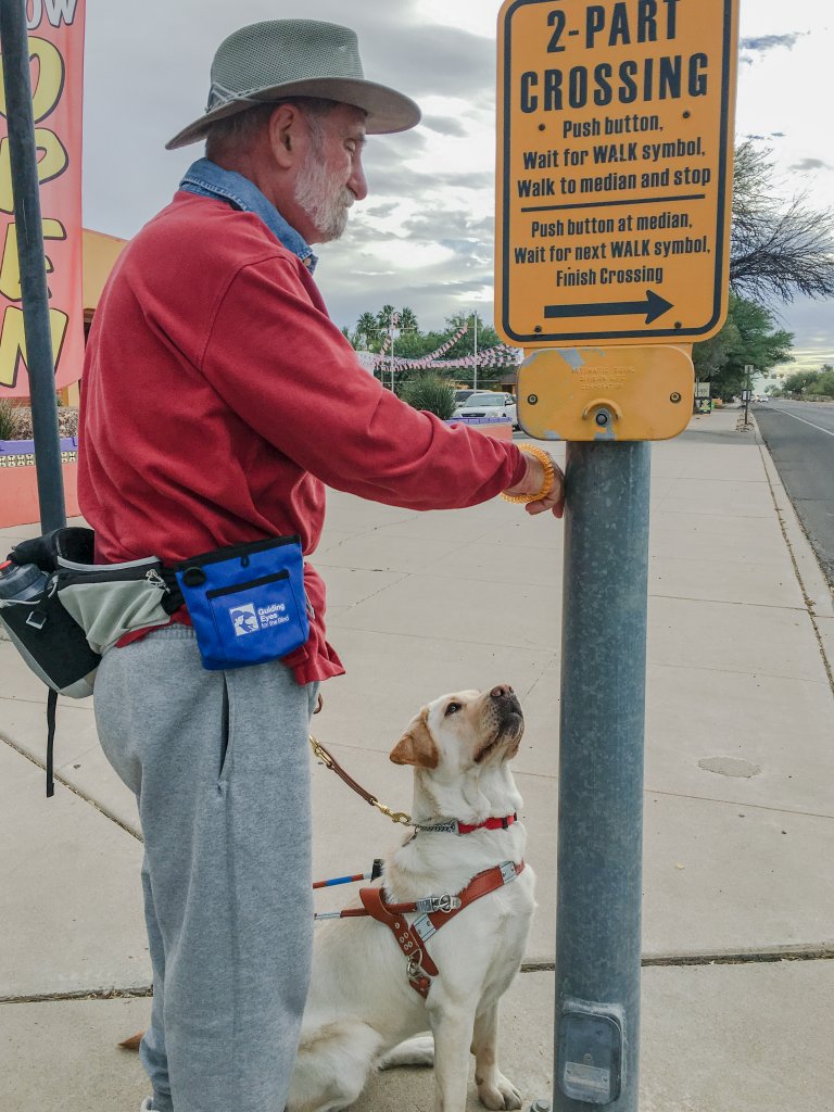 Handler with gray beard in brimmed hat at crossing walk button pole