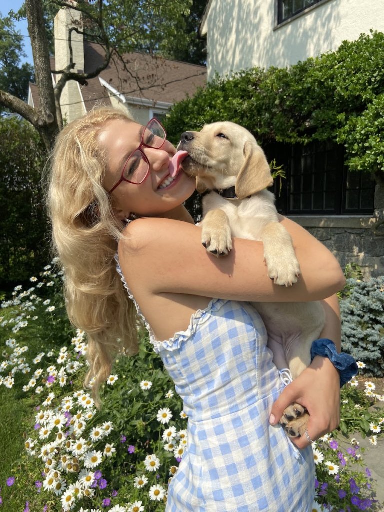young woman in blue check dress hugs little yellow puppy licking her face