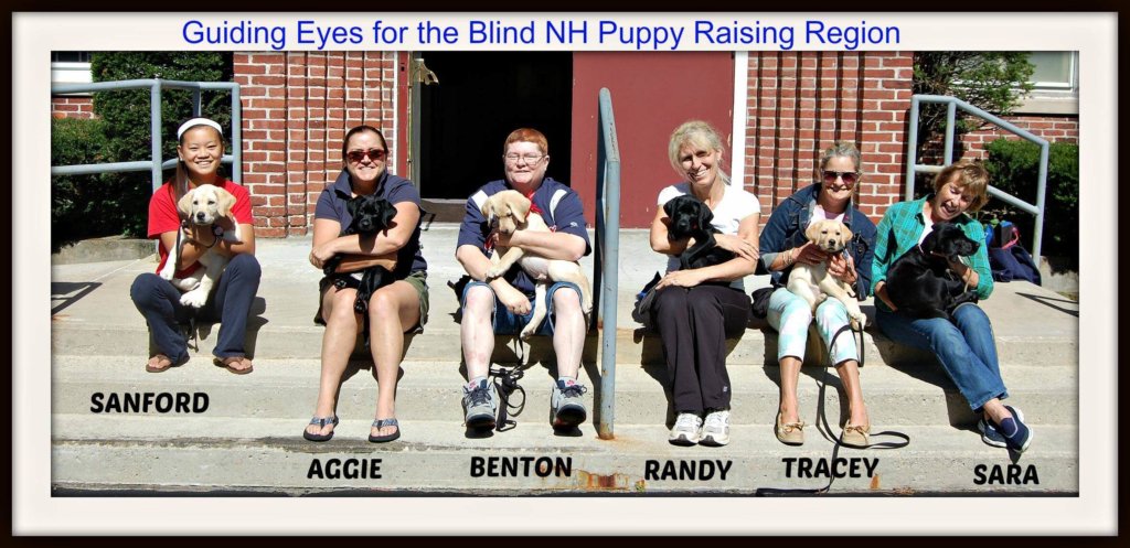 New Hampshire puppy raisers with pups