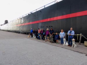 A large group of Cleveland raisers (including Danielle and yellow lab Annalee) pose in a line with their pups on program beside a docked ship.