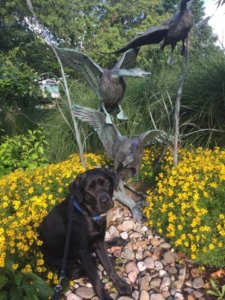 Finch sits by a statue of flying ducks nestled within bushes of yellow flowers