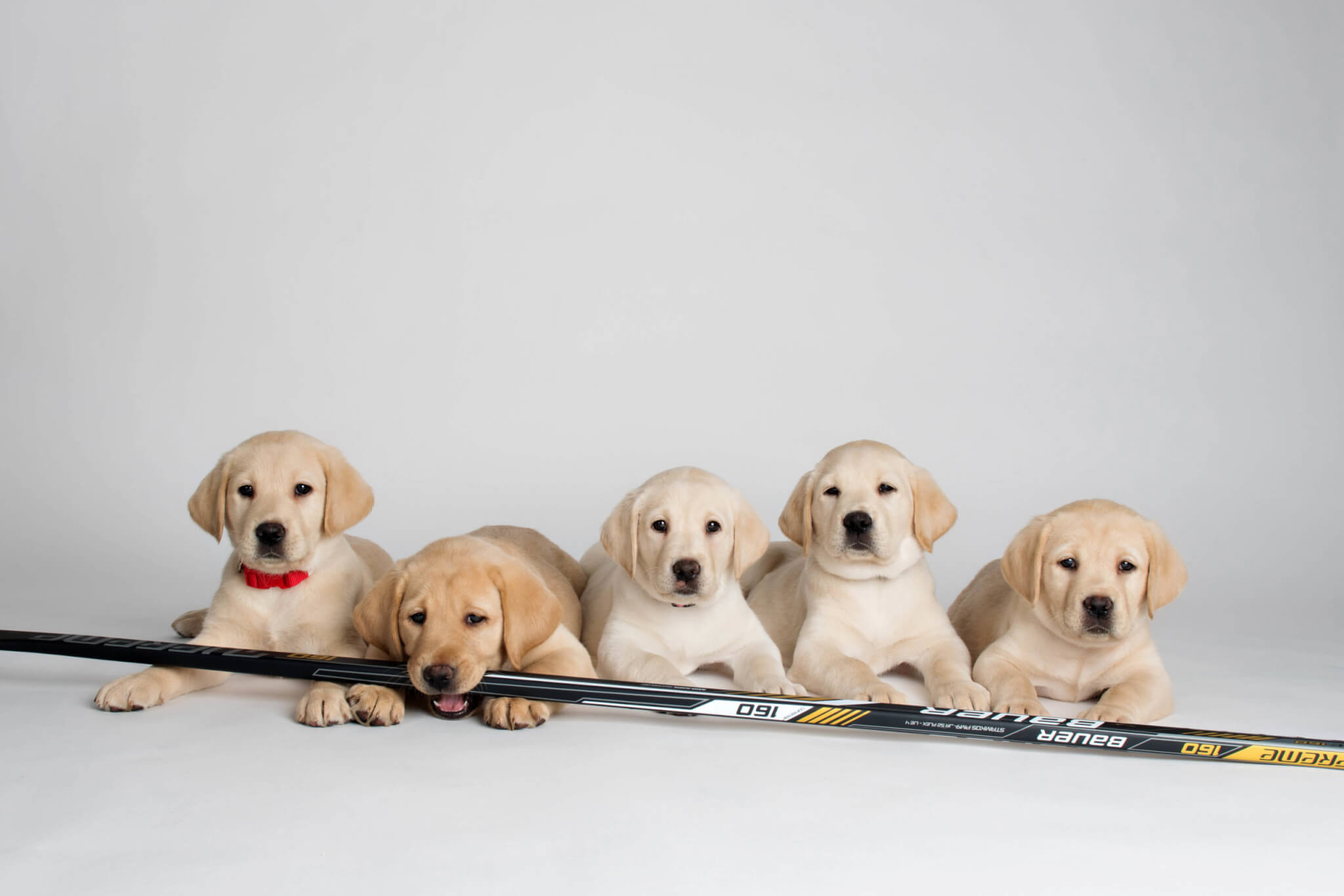 The Olympic Litter congratulates the US Women’s Hockey team on their incredible win.