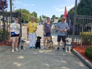 Ruth and black lab Layla pose with fellow puppy raisers before a fun outing at the local golf driving range. humans Kylie, Ruth, Rachael, and George with pups Henry (yellow lab), Layla (black lab), Ella (yellow lab), and Richie (yellow lab). All are smiling happily after a fun class!