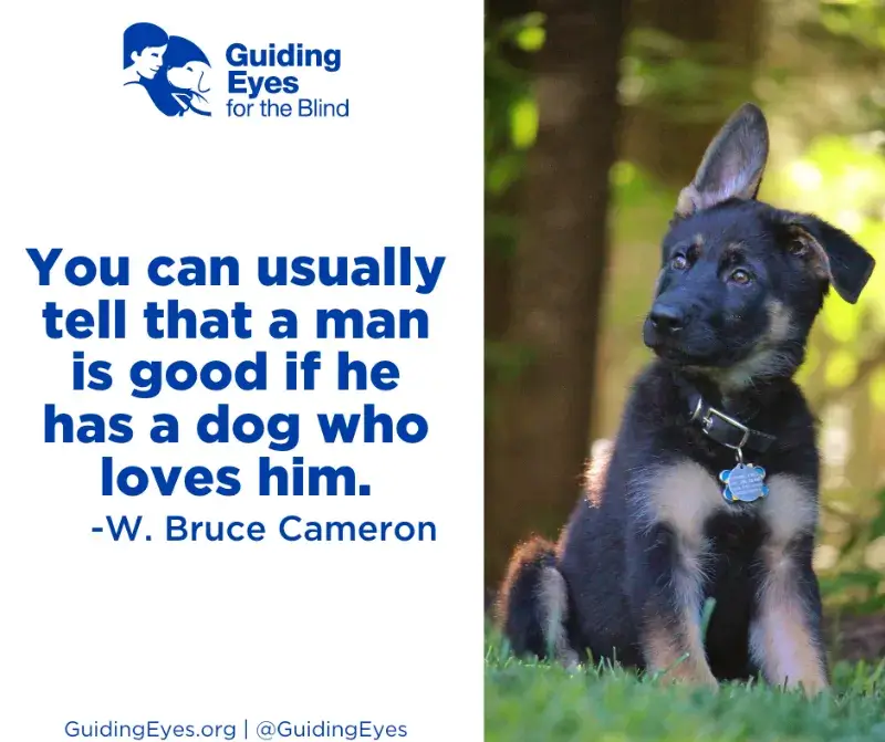 A quotation graphic featuring Ward, a black and tan German shepherd puppy, as he sits in the grass and looks out into the distance. Ward has one ear standing up and one ear folded over.