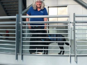 Guiding Eyes for the Blind puppy raiser Kristin Meredith is standing near the railing of the first level of the elevator and stairs and looking toward the camera and smiling. She is holding the leash of black male labrador pup on program Dozer who is looking through the railing. The doors of the elevator are behind them.