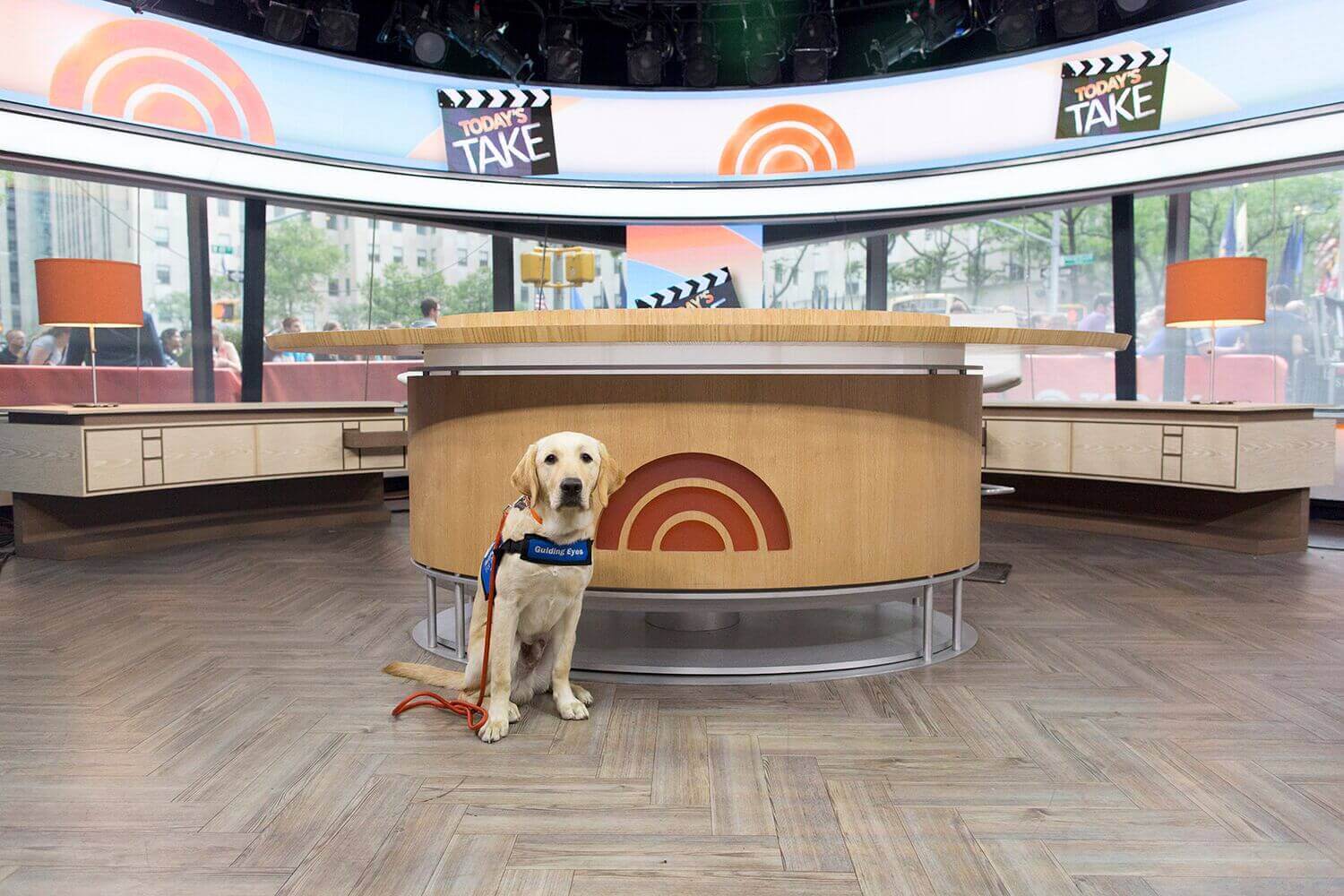 Wrangler proudly sits in front of the TODAY Show desk