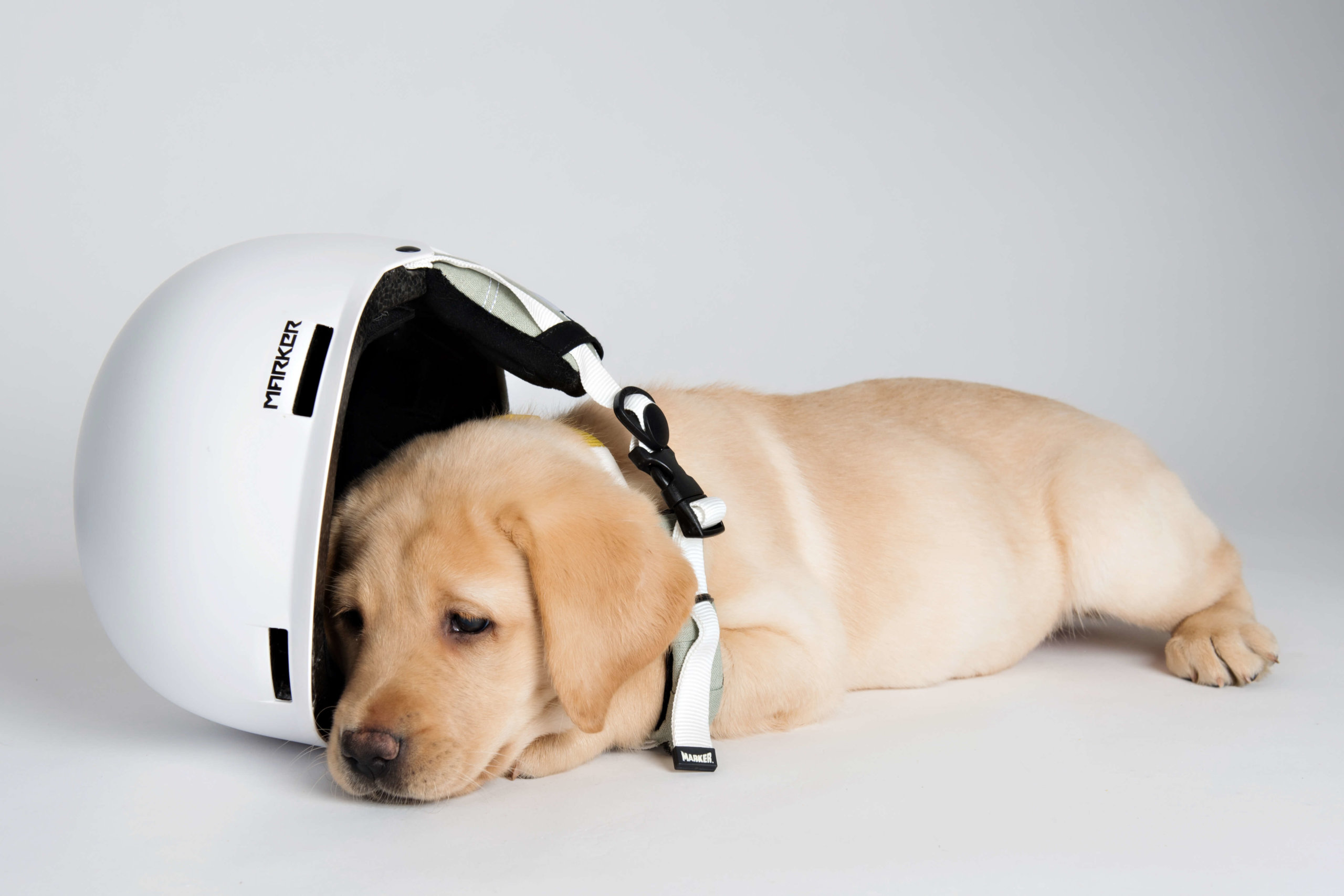 Don’t worry puppy Kim, there’s another Olympics in just four years!