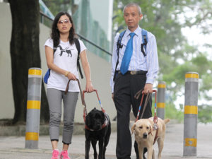 Guiding Eyes dogs Nana and Deanna in Hong Kong