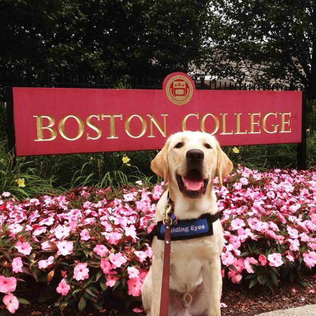 Wrangler proudly sits in front of the "Boston College" welcome post
