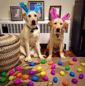 WranglerTODAY and his "brother" Vincent pose for Easter photographs.