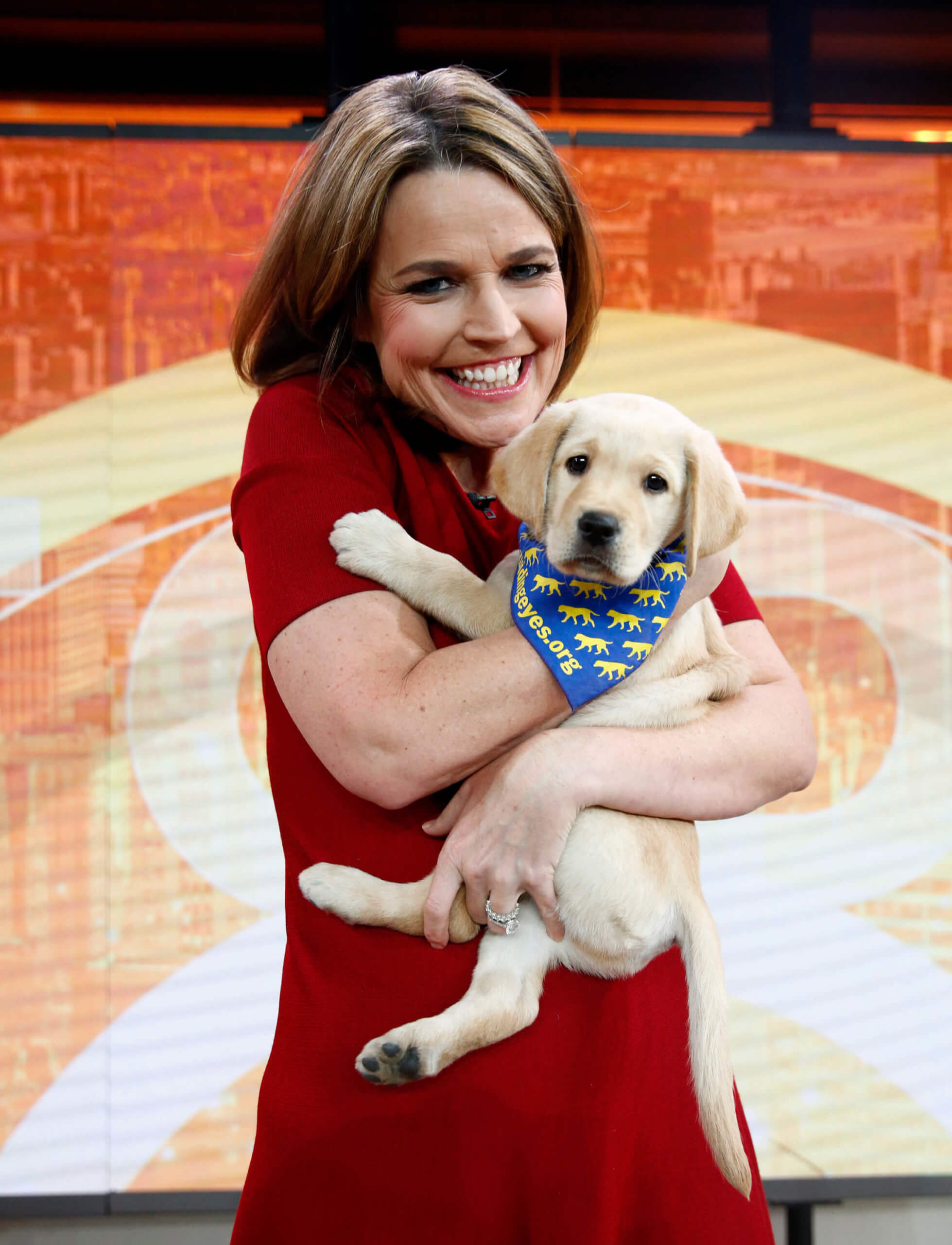 TODAY anchor Savannah Guthrie with Guiding Eyes pup Wrangler