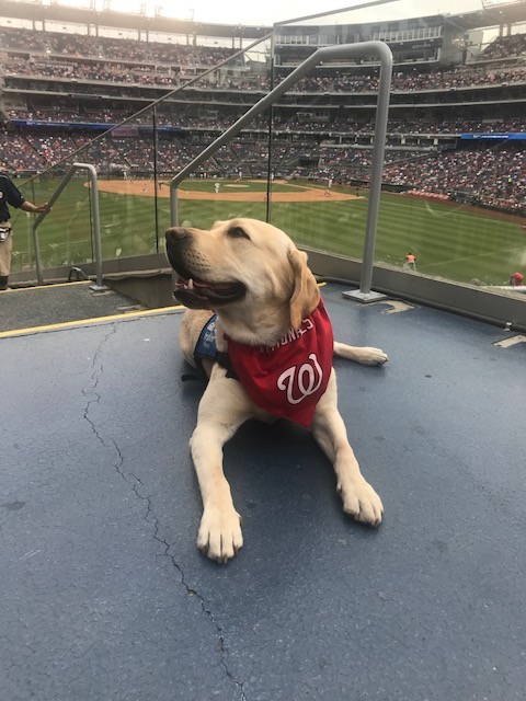 Blanco visits Washington Nationals ballpark