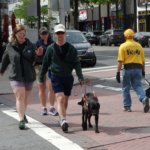 June graduate Carleton and guide dog Rasha crossing a street during a training session