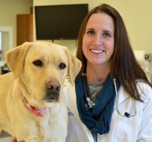 Dr. Beth Brenninkmeyer, DVM, Guiding Eyes Chief Veterinary Officer