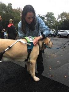 Guiding Eyes vet monitors running guide dog Gus