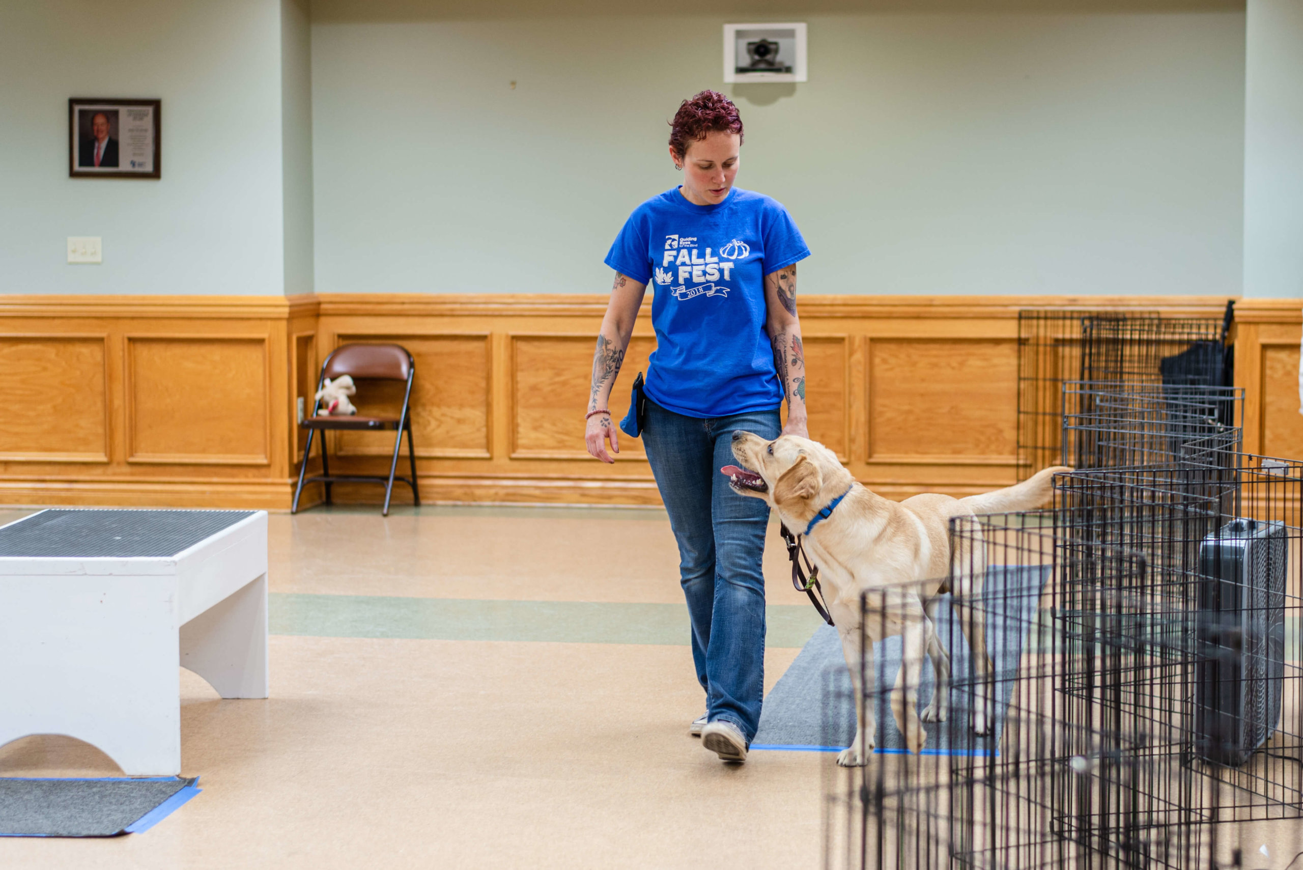Yellow lab Flyer walks beside a Guiding Eyes staff member during his In-For-Training Evaluation.
