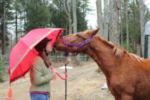Hannah Clifford gives a kiss to chestnut horse Fuego. Hannah holds a bright red umbrella and wears a horseback riding helmet on her head.