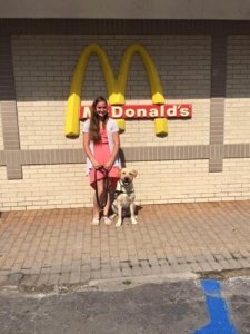 Alexandrea stands with yellow lab Fargo outside a McDonald's restaurant. Fargo wears his blue Guiding Eyes training vest.