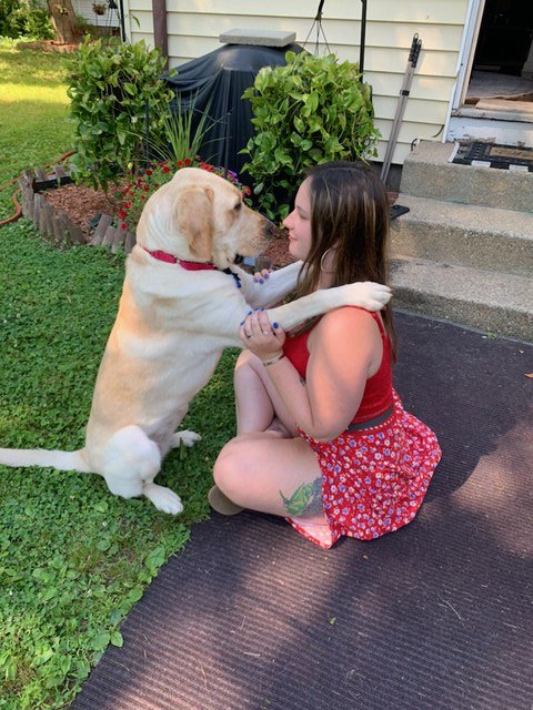A strong connection between guide dog Phoebe and partner Kailey