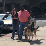 June graduate Mackenzie and guide dog Felix walk down a sidewalk during a training session