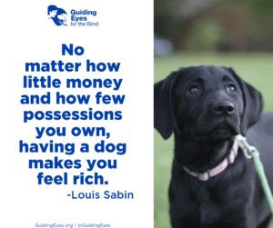 Susan, a black lab puppy, stands in the grass and looks up with innocent eyes. The graphic includes the quote: “No matter how little money and how few possessions you own, having a dog makes you feel rich.”―Louis Sabin