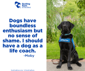 Patton, an adolescent black labrador retriever, sits proudly on the nature path on our Yorktown Heights campus in front of the pond. Patton wears his blue Guiding Eyes training vest. The graphic includes the quote: “Dogs have boundless enthusiasm but no sense of shame. I should have a dog as a life coach.”―Moby