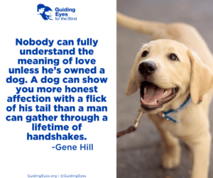 Yellow lab puppy Zane happily smiles for the camera with his tail wagging. The graphic includes the quote: “Nobody can fully understand the meaning of love unless he’s owned a dog. A dog can show you more honest affection with a flick of his tail than a man can gather through a lifetime of handshakes.”―Gene Hill