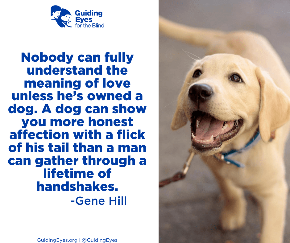 10 Heartwarming Dog Quotes for National Dog Day