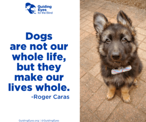 Bing, an adorable black and tan German Shepherd puppy, sits on the brick walkway while wearing a colorfully striped bowtie. The graphic includes the quote: “Dogs are not our whole life, but they make our lives whole.”—Roger Caras