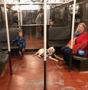 Peggy and her young son pretend to ride the train to give yellow lab Adonis practice on public transportation.