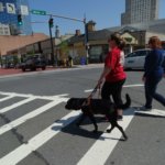 Regina and Pippin cross a busy city intersection together during a training session