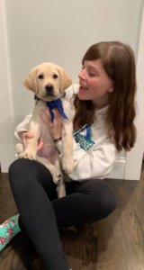Olivia Tzefronis holds yellow Lab pup Zoom on her lap. Zoom is wearing a blue bandana and is looking at the camera. Olivia Is graduating from Orange High School.