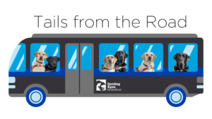 "Tails from the Road" bus graphic featuring photos of guide dogs photoshopped into the windows of the cartoon bus