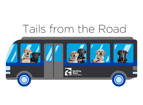 "Tails from the Road" bus graphic featuring photos of guide dogs photoshopped into the windows
