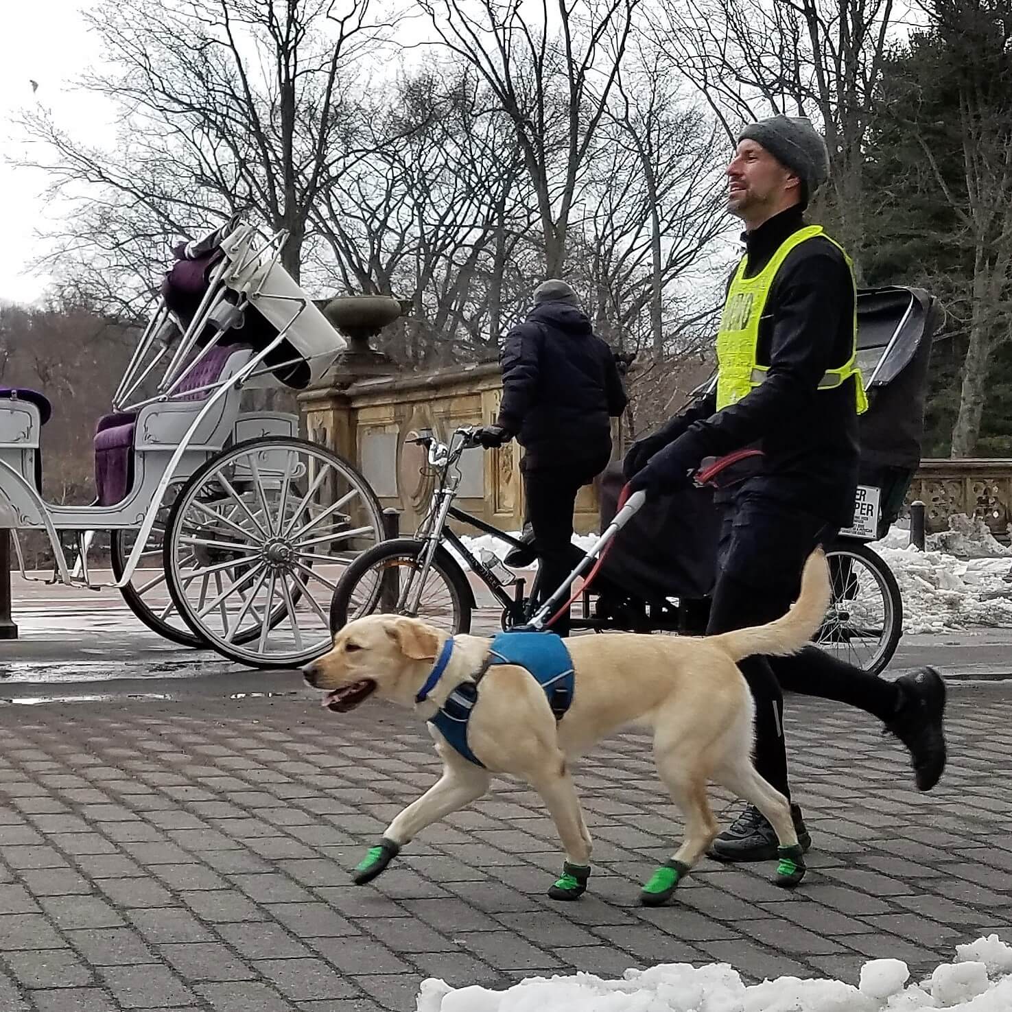 Tom & Waffle-Central Park-Carriage