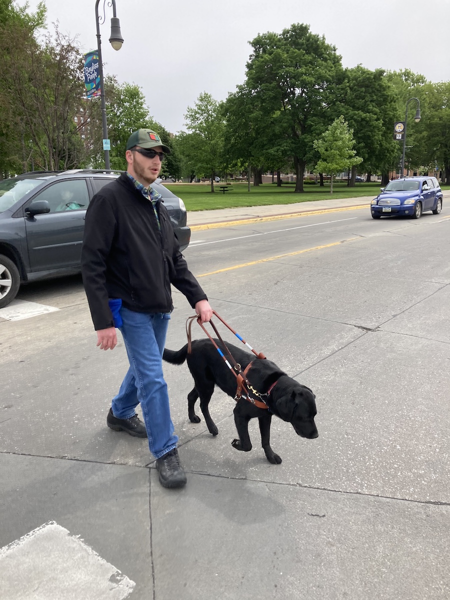 Bodie and handler Tyler cross a busy street with cars around them