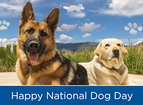 National Dog Day - a black and tan German Shepherd sits with a yellow lab and the clouds take the shape of pawprints and dog silhouettes