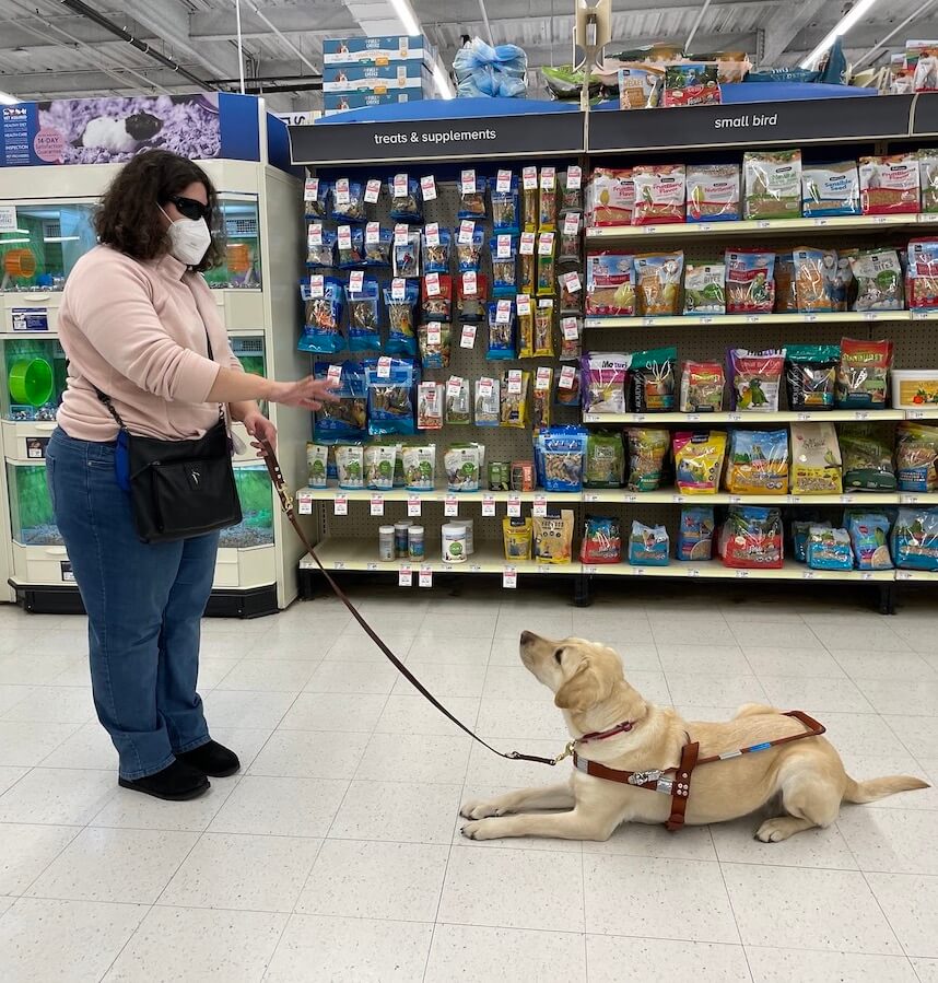 Joelle and her guide dog Coconut, a female yellow Lab in a harness, both in front of the dog treat isle at a pet store. Joelle stands, motioning her hand out and flat, as Coconut lays down and looks up at Joelle.