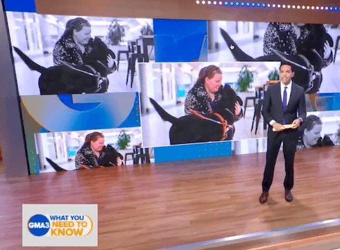GMA3 stage with host features backdrop of handler and guide dog