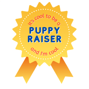 Badge says it's cool to be a puppy raiser and I'm cool