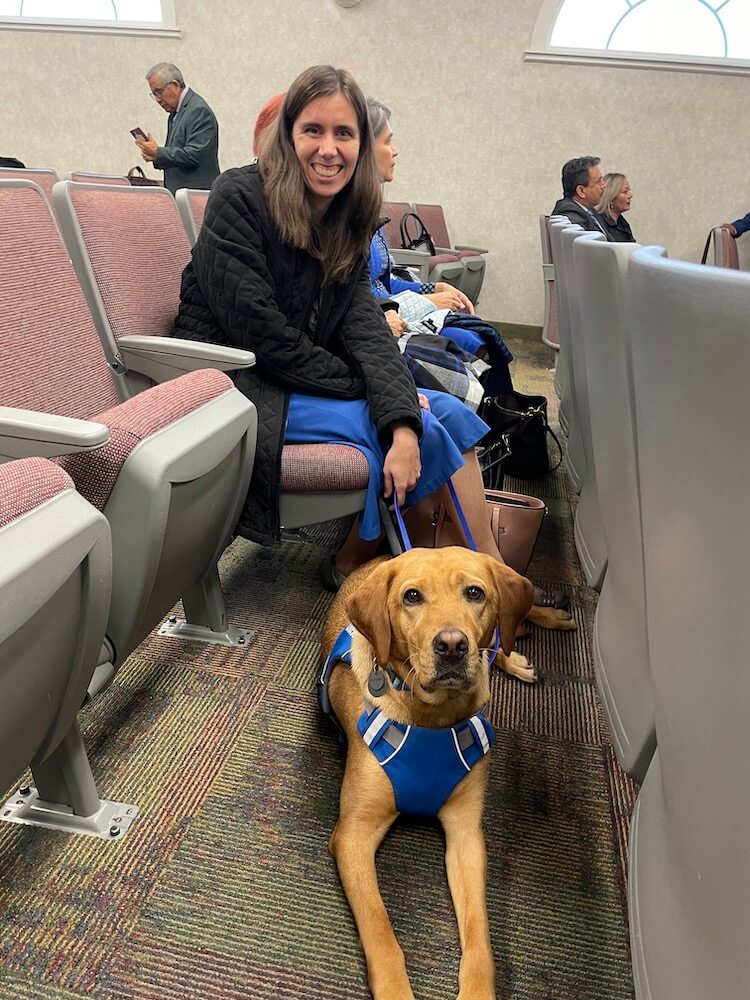 Yani in a down within rows of auditorium seats with handler Miriam