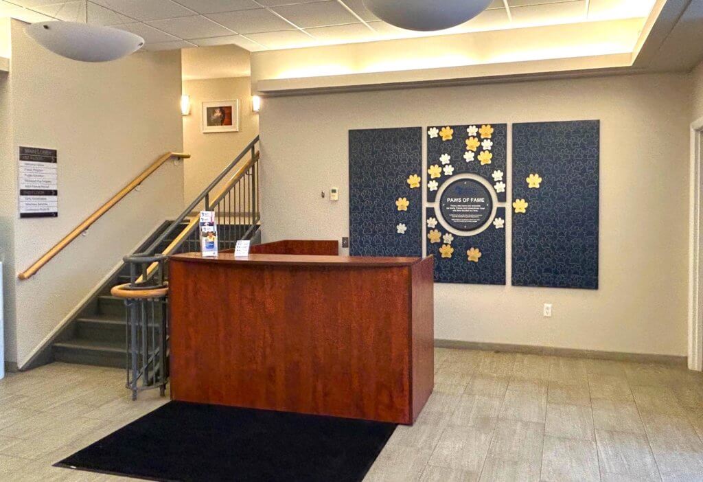 Canine Development Center Lobby with Paws of Fame display behind reception desk