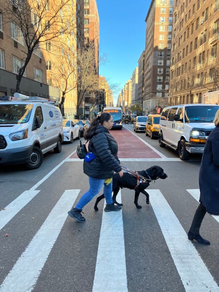 Elizabeth and Yonkers cross busy NYC crosswalk