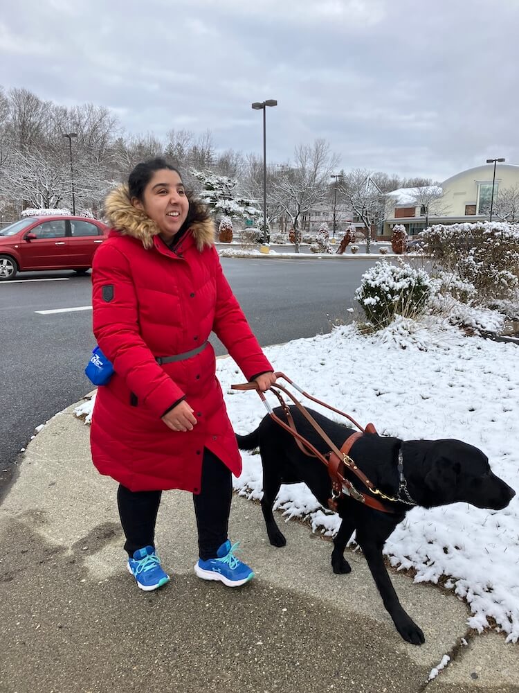Fatima and black Lab guide Miles walk safely after crossing the street