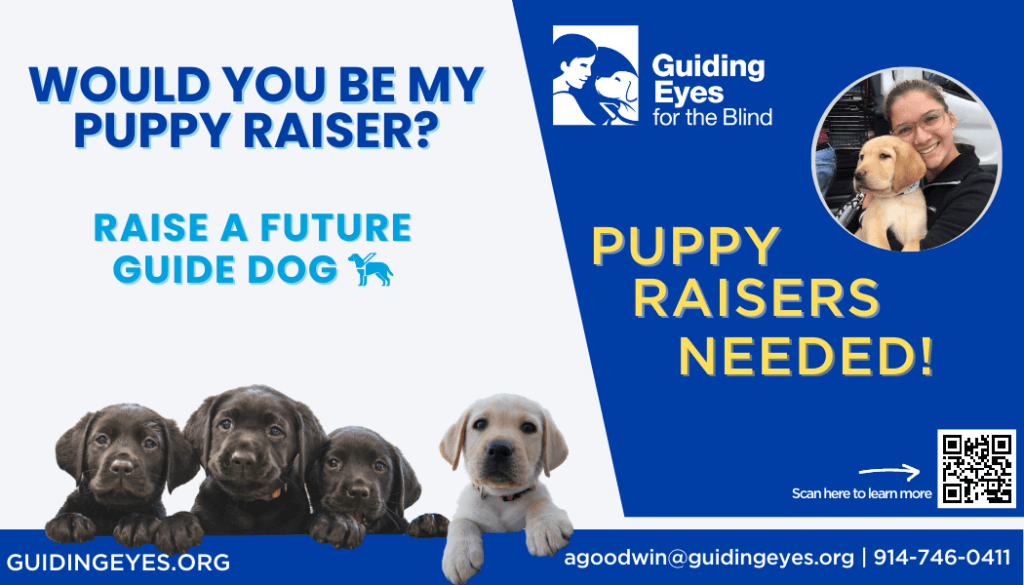 image for puppy raisers needed. little pups look over a bar at bottom and raiser hugs pup in circle