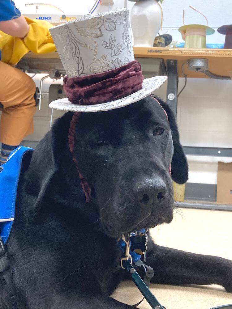 Shamrock - pup on program - wears a fancy top hat in theater class
