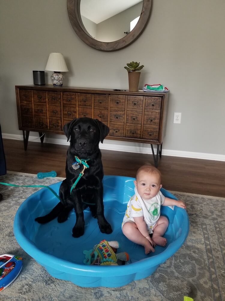Pup Harmony sits with baby indoors in empty wading pool