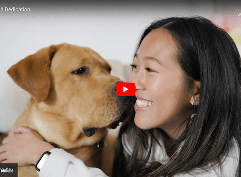 Cornell puppy raiser head to head with yellow pup in youtube still
