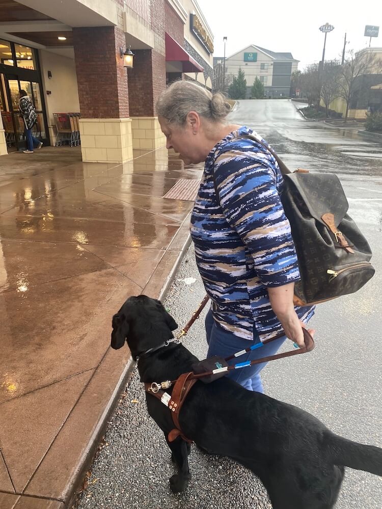 Fallon checks in with handler Dory at curb